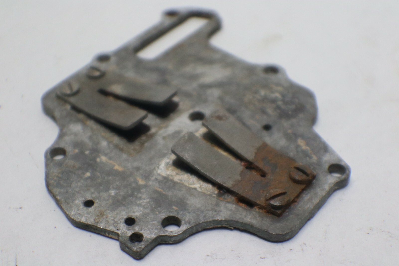 GALE BUCCANEER 5 HP INTAKE REED PLATE TILLER 5D17BL - Image 5