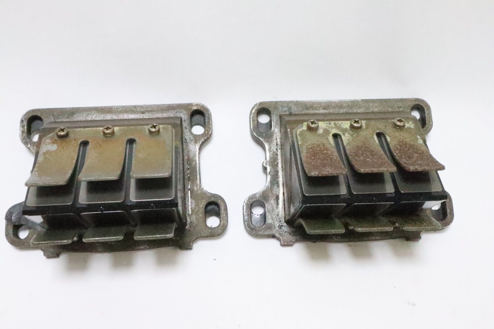 1990-1995 Yamaha Reed Valve Assembly 697-13610-00-00 USED