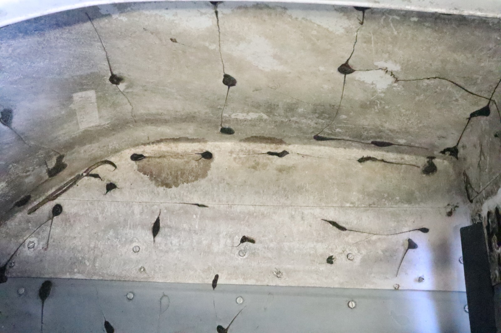 820624A1 ? FA549944 ? F3C653944 ? hood cover force chrysler 85hp NO insulation - Image 16