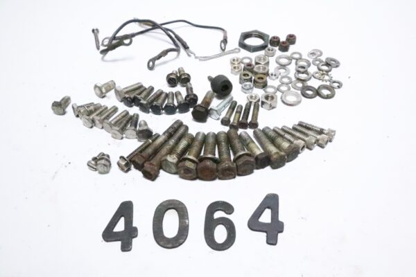 Force 40 50 HP Miscellaneous Mixed Bolt Nut Washer Lot | Used - Image 3